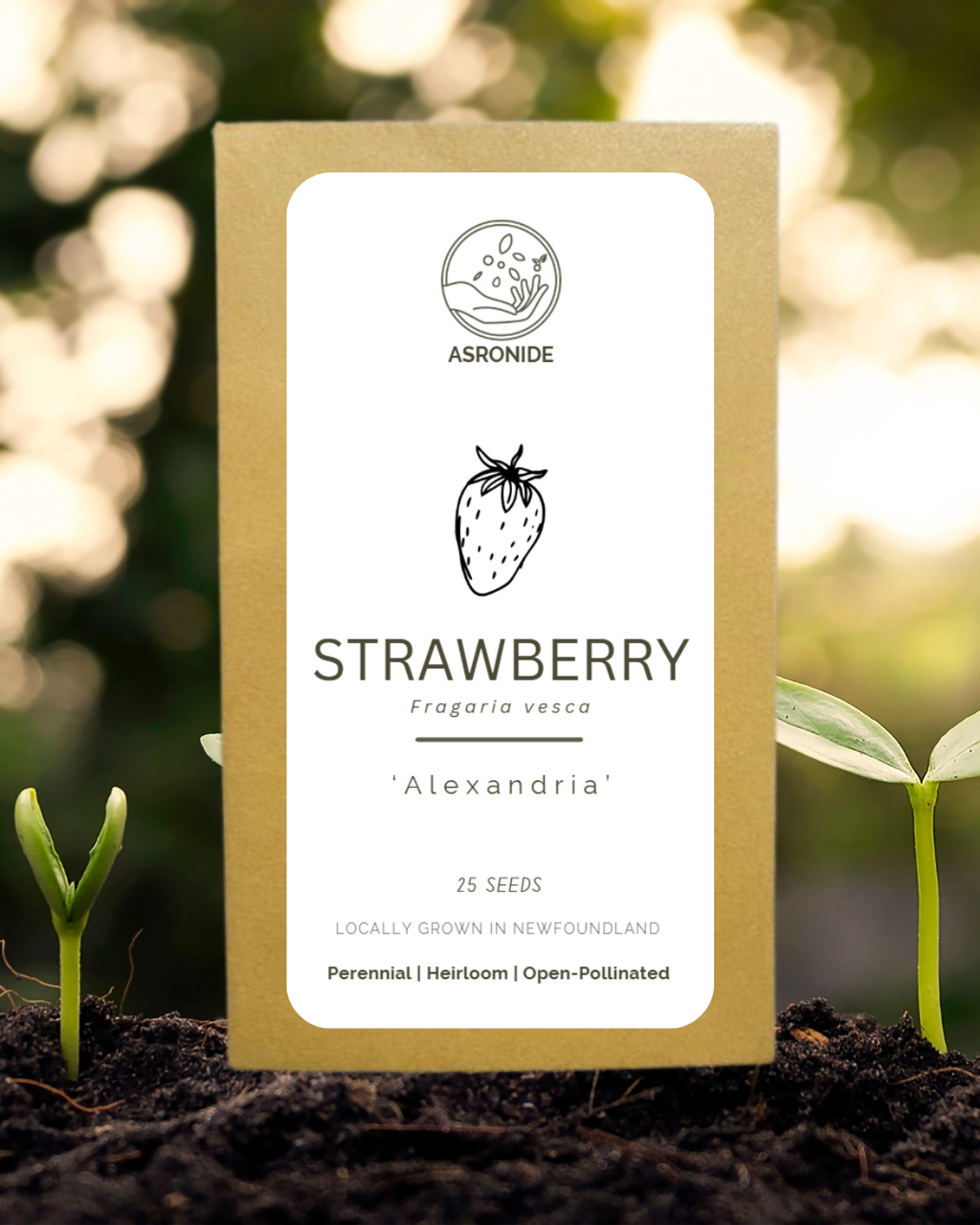 Alexandria Strawberry Seeds