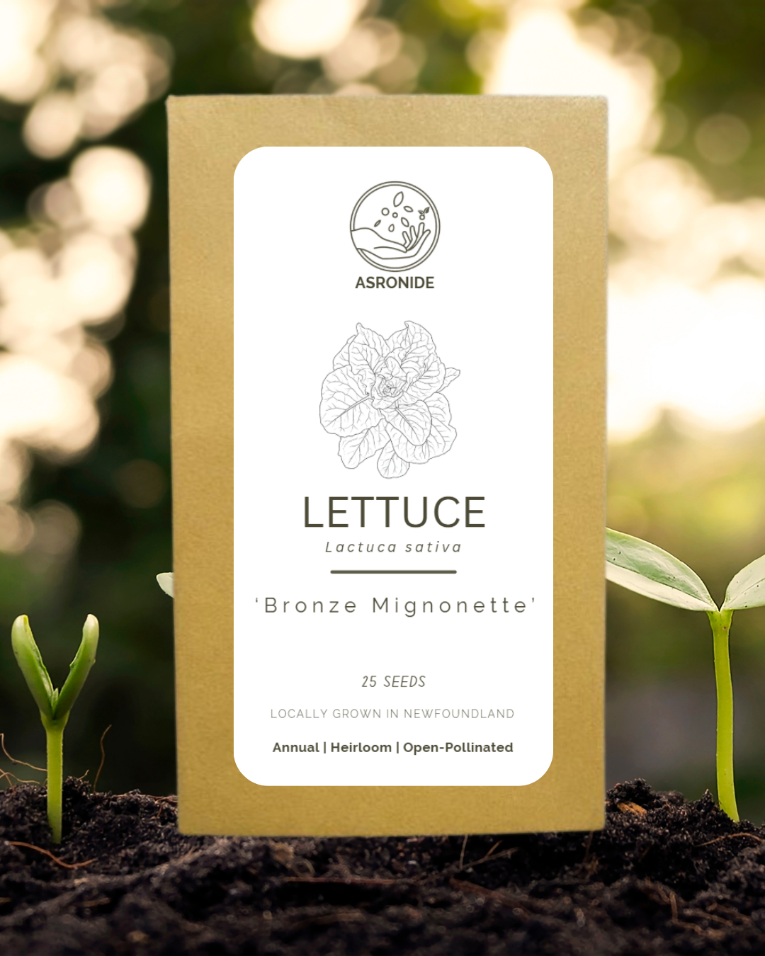Bronze Mignonette Lettuce Seeds