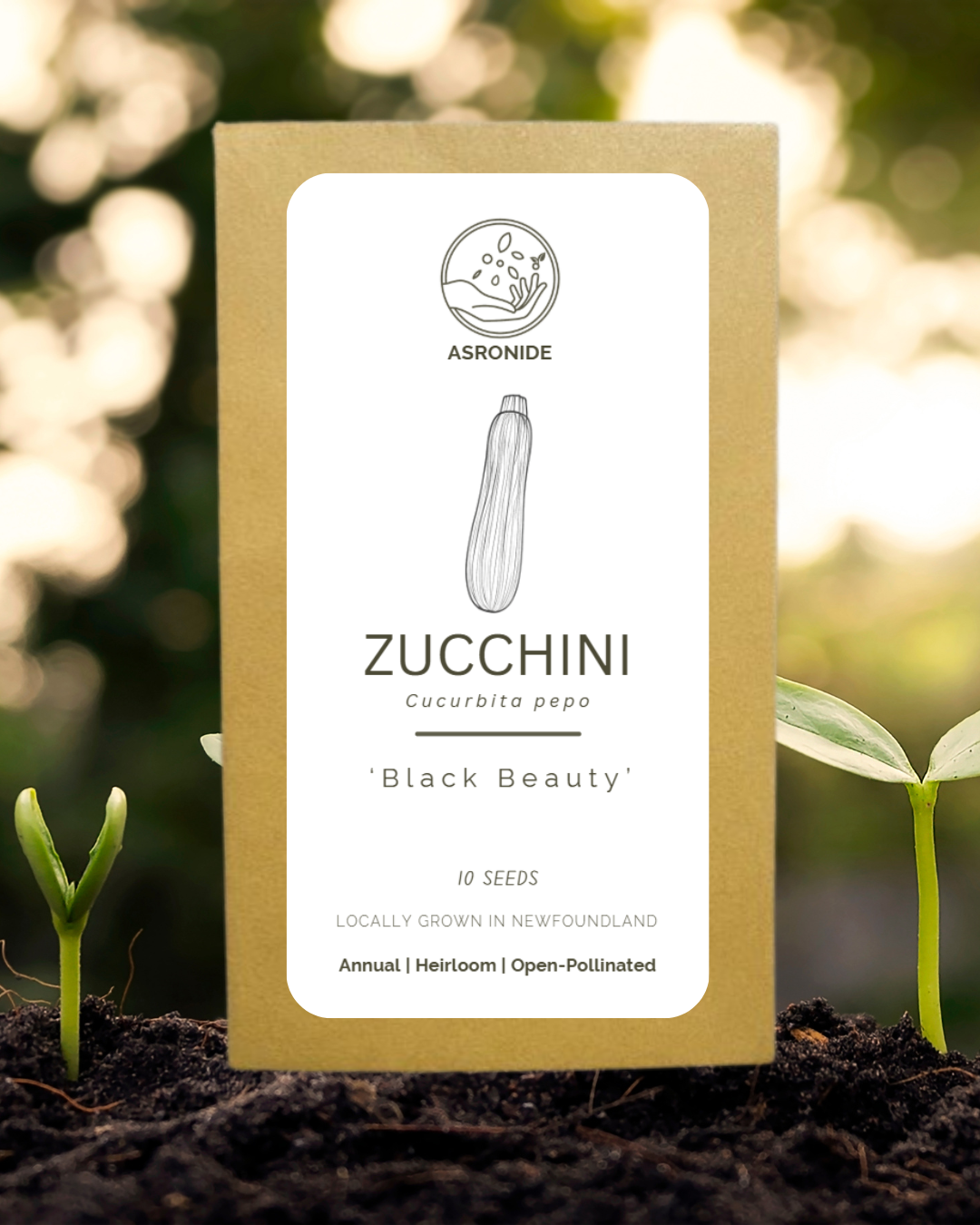 Black Beauty Zucchini Seeds