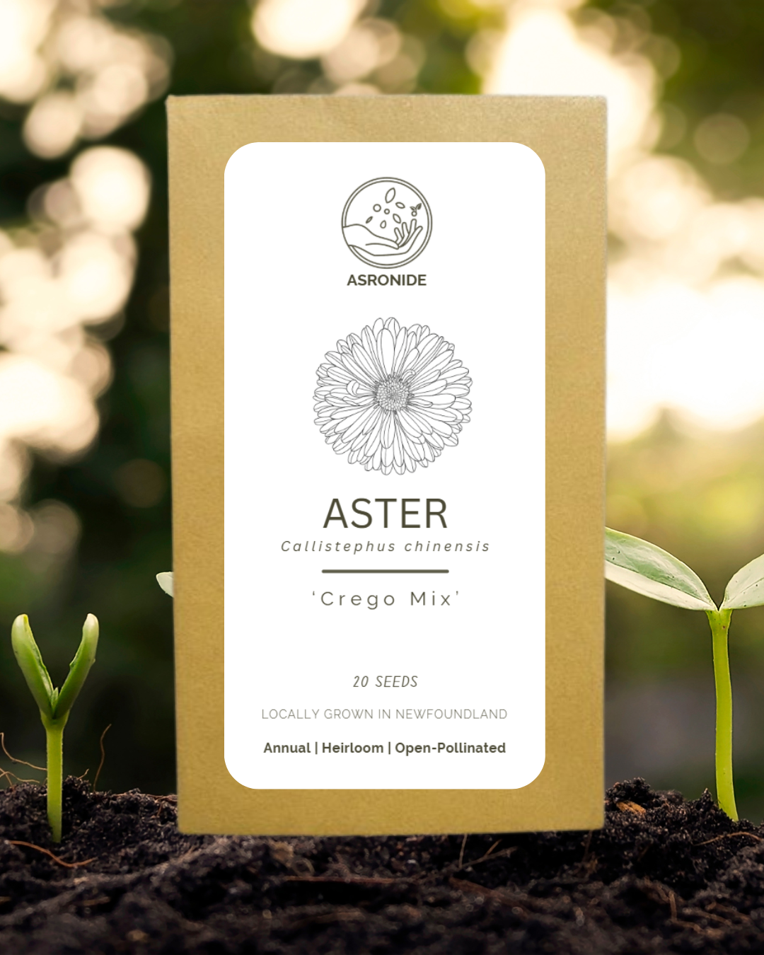 Crego Mix Aster Seeds