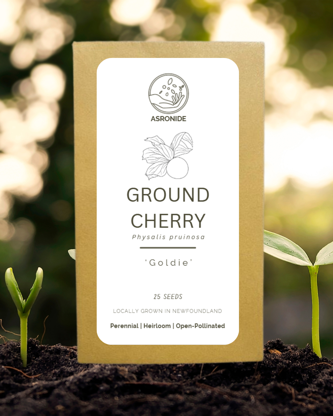 Goldie Ground Cherry Seeds