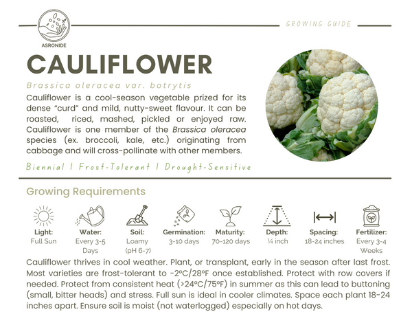 Cauliflower