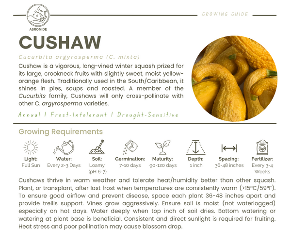 Cushaw