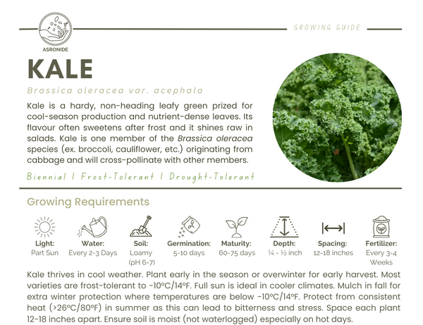 Kale