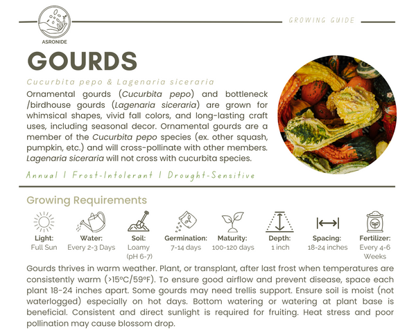 Gourds