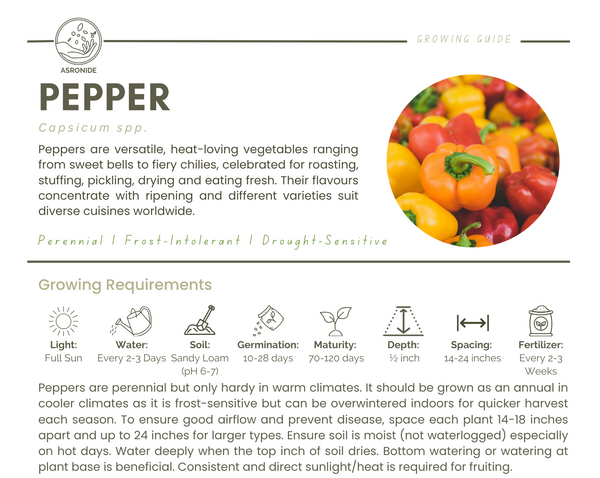 Peppers