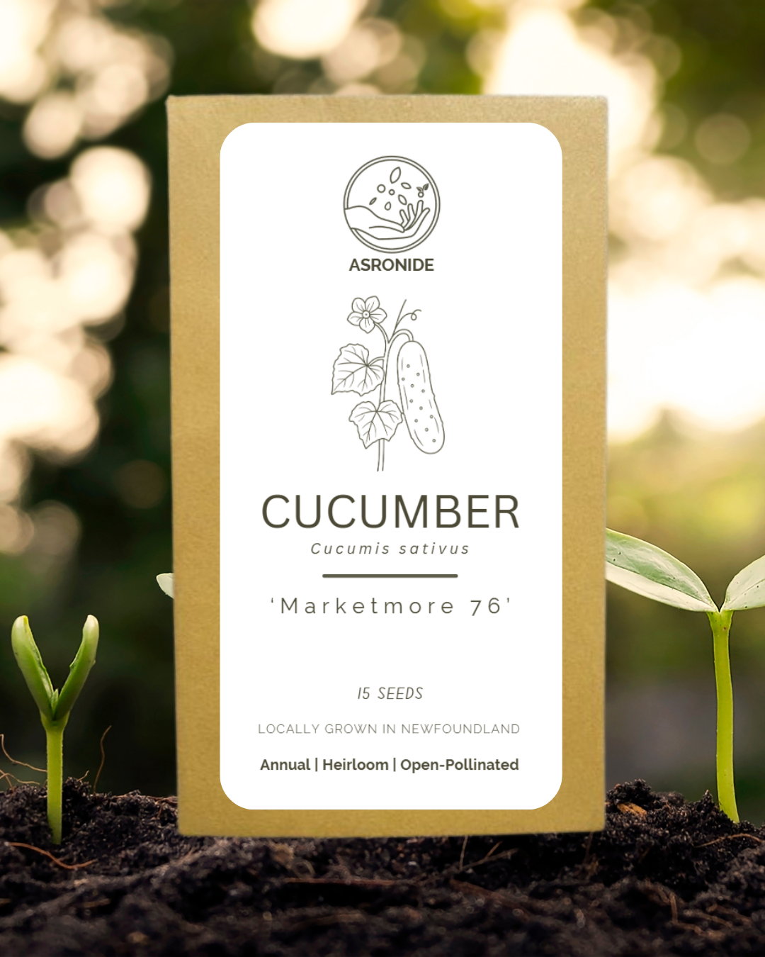 Marketmore 76 Cucumber Seeds