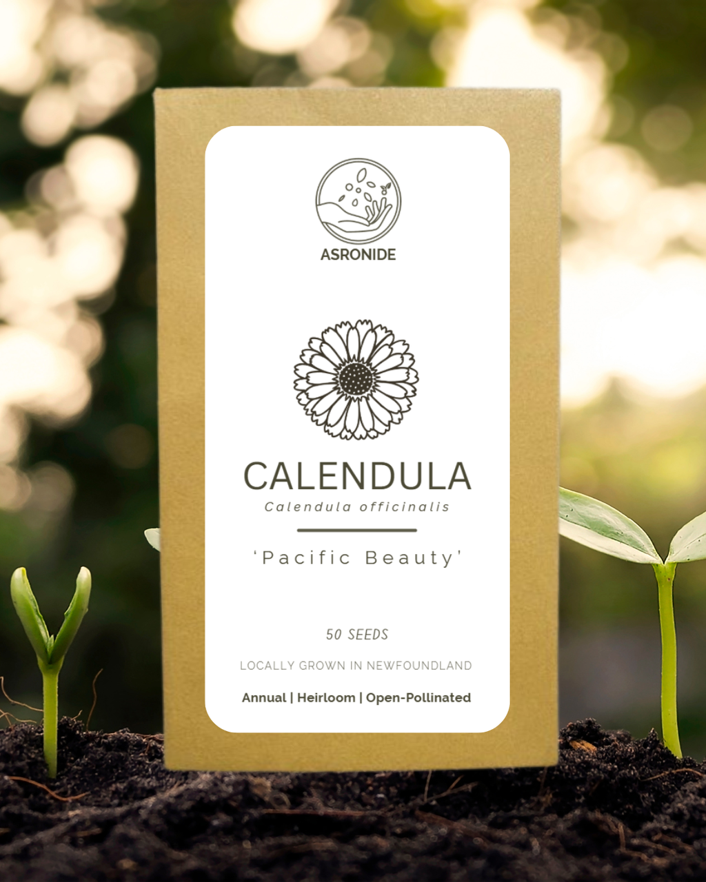 Pacific Beauty Calendula Seeds
