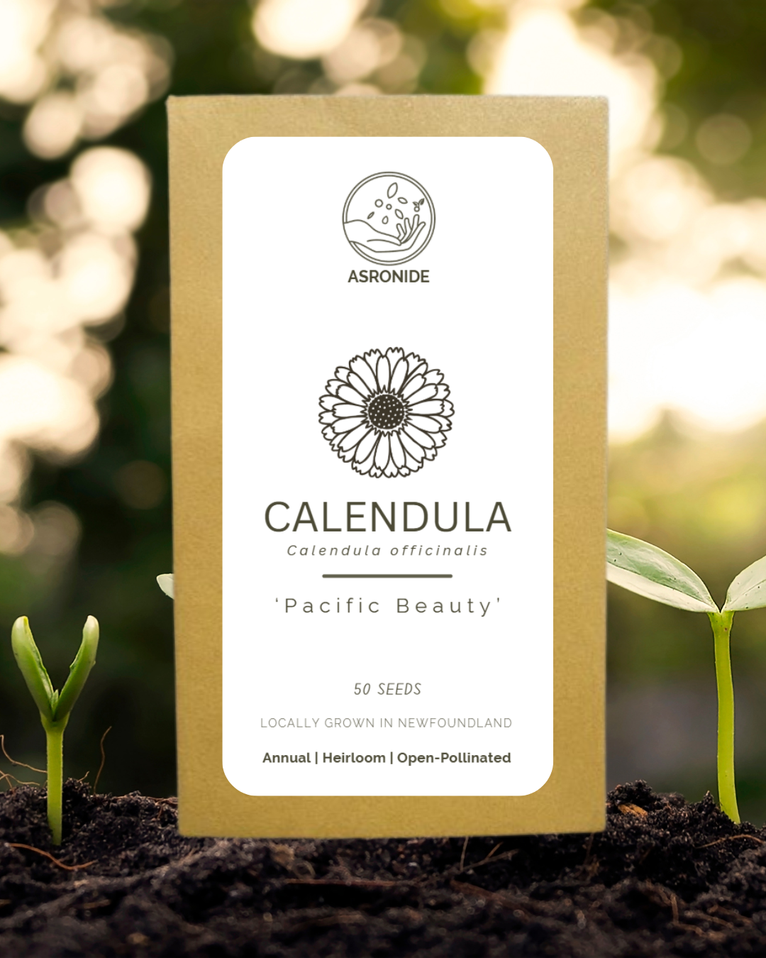 Pacific Beauty Calendula Seeds