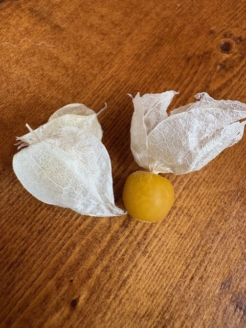 Goldie Ground Cherry Seeds